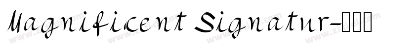 Magnificent Signatur字体转换